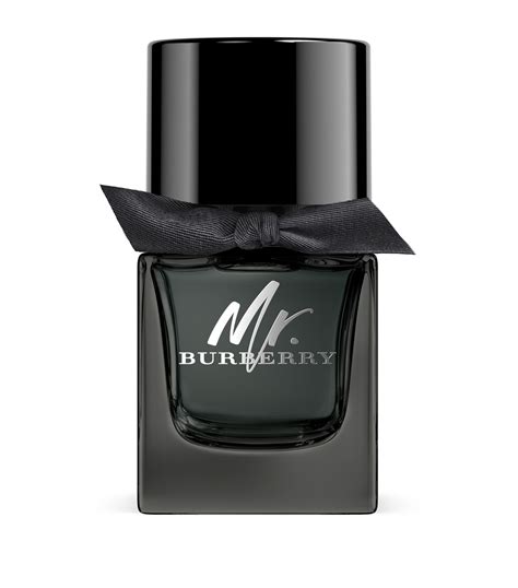 burberry indigo parfum 50ml|mr burberry indigo 50ml.